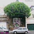 /album/nadherne-umeni/funny-painted-wall-with-brush-jpg/